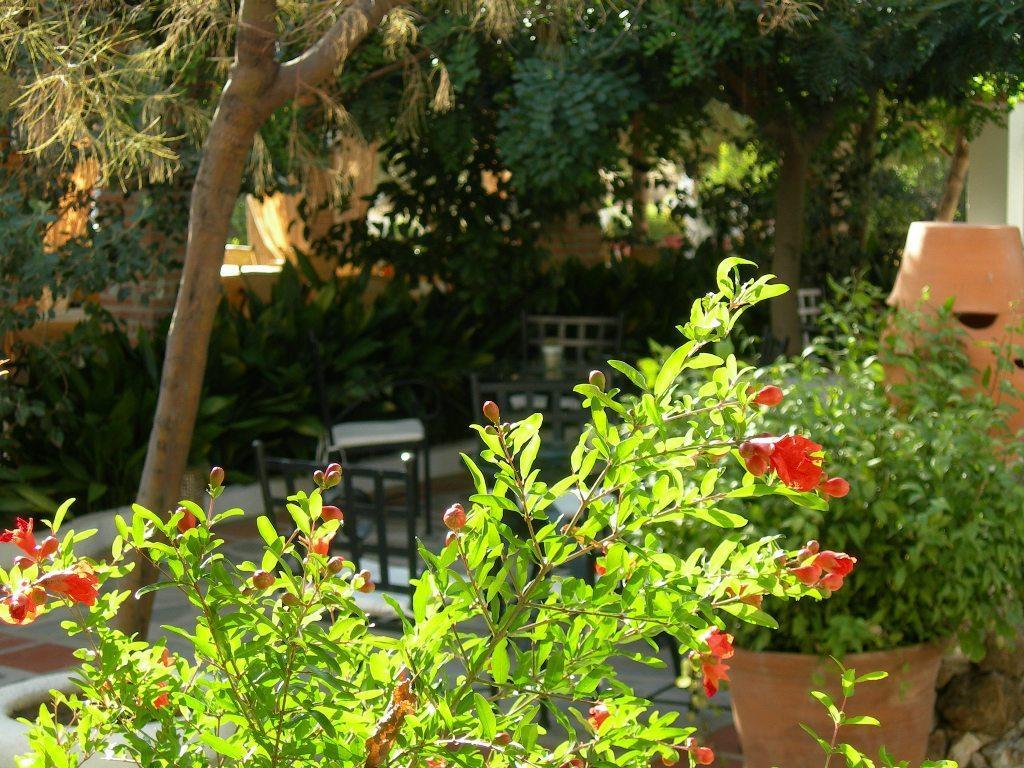 Hotel Alcadima Lanjarón Eksteriør bilde